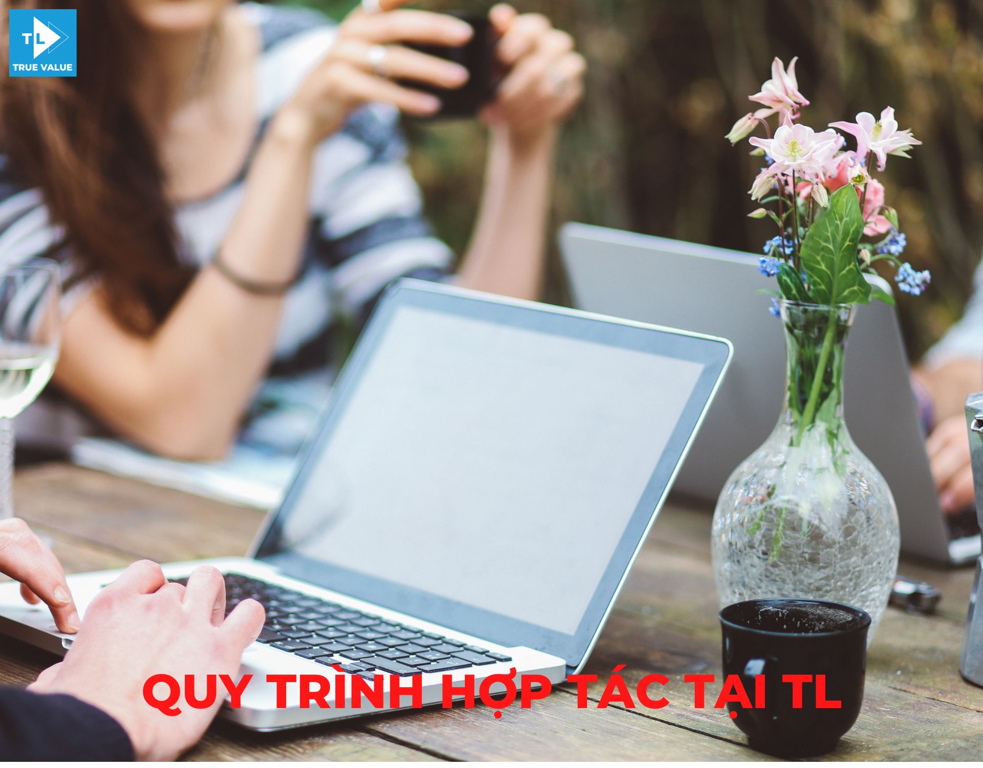 Quy trình hợp tác tại TL